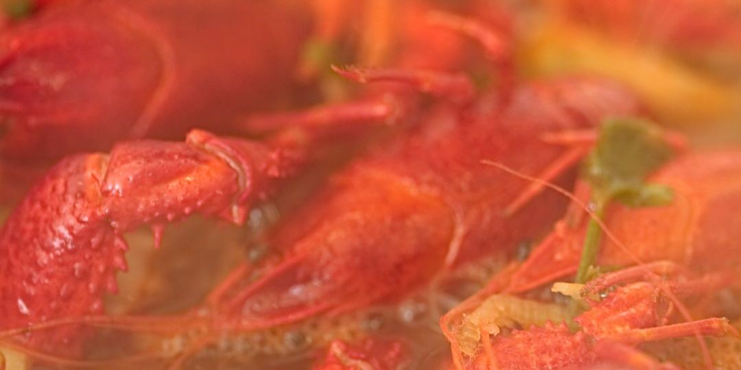 Bogavante