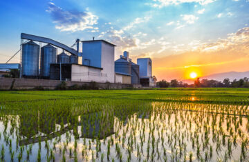 Los escolares valencianos visitan la fábrica de arroz La Fallera