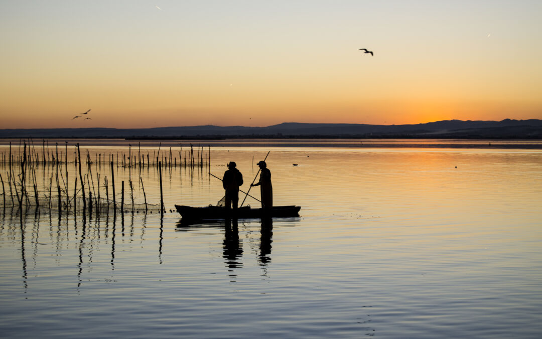 La Albufera de Valencia: parque natural y cuna del arroz por excelencia