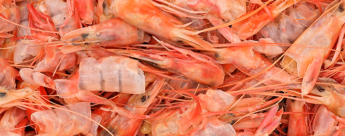 Pelamos los langostinos, las gambas y las cigalas