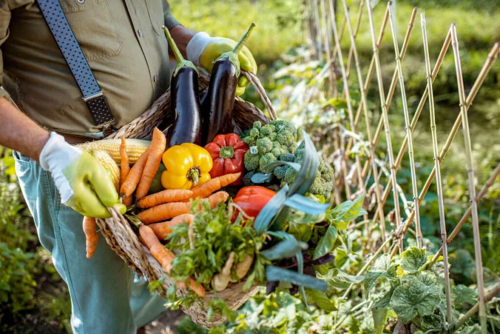 ¿Qué frutas y verduras hay en cada estación del año?