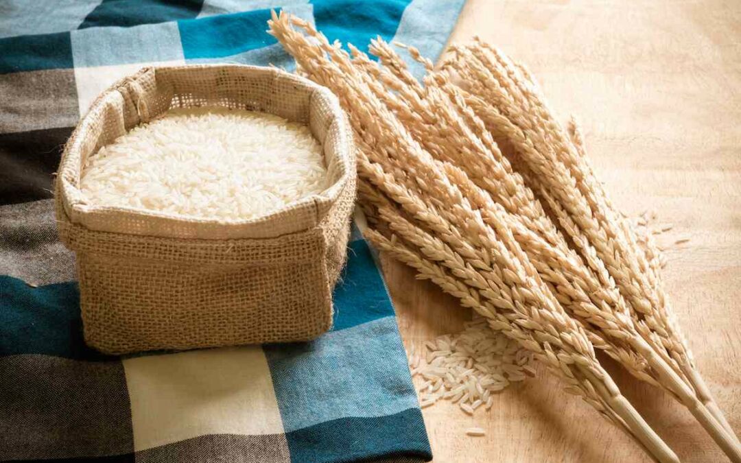 ¿El arroz es una legumbre? – Descubre la verdad nutricional