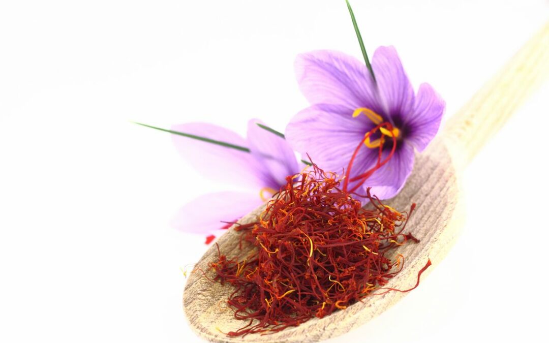 Infusión de azafrán para paella: ¡secretos culinarios!