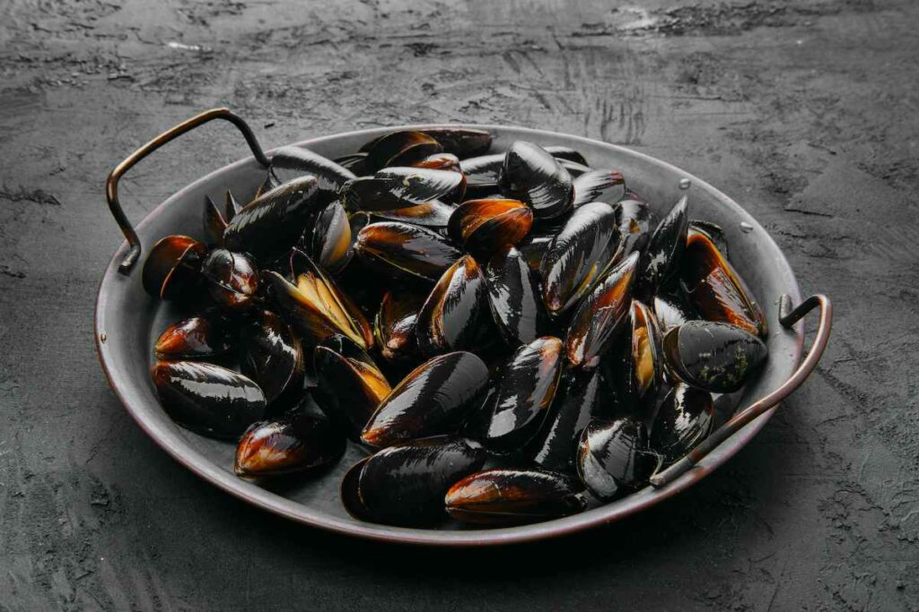 cocer mejillones para paella