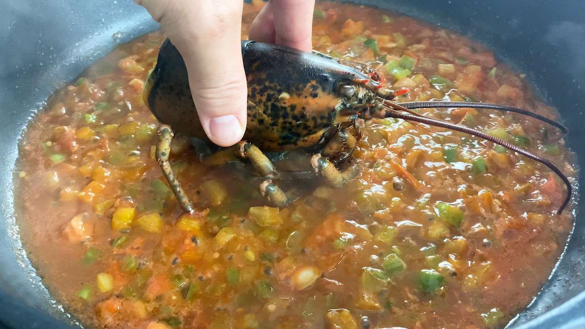 Paso a paso arroz con bogavante cocinar bogavante