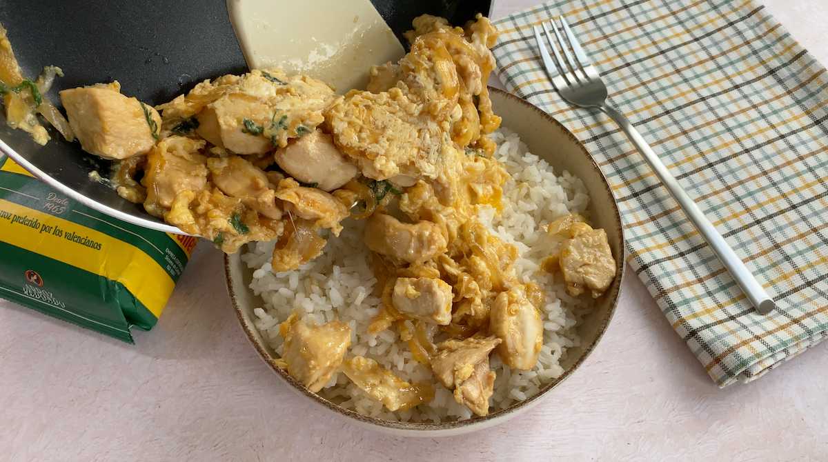 Oyakodon: Delicioso plato japonés de pollo y huevo