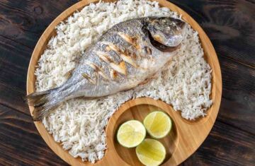 tipos pescado blanco