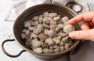 Cuánto tiempo pueden estar en agua con sal las almejas