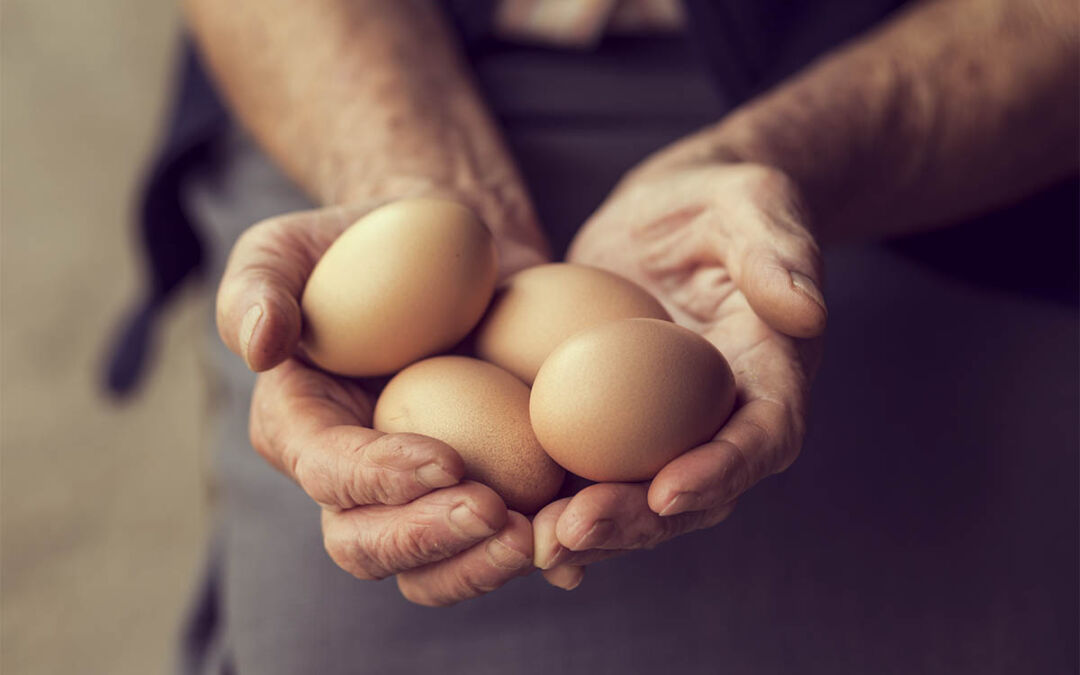 Beneficios de cocer un huevo en el microondas