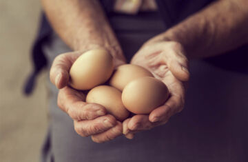 cómo cocer un huevo en el microondas