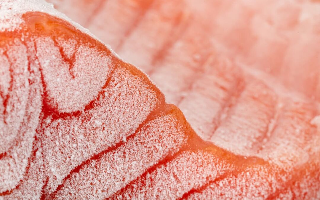 Cómo descongelar el salmón: guía completa para una descongelación segura y deliciosa