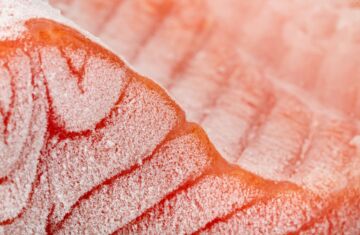 Cómo descongelar el salmón: guía completa para una descongelación segura y deliciosa