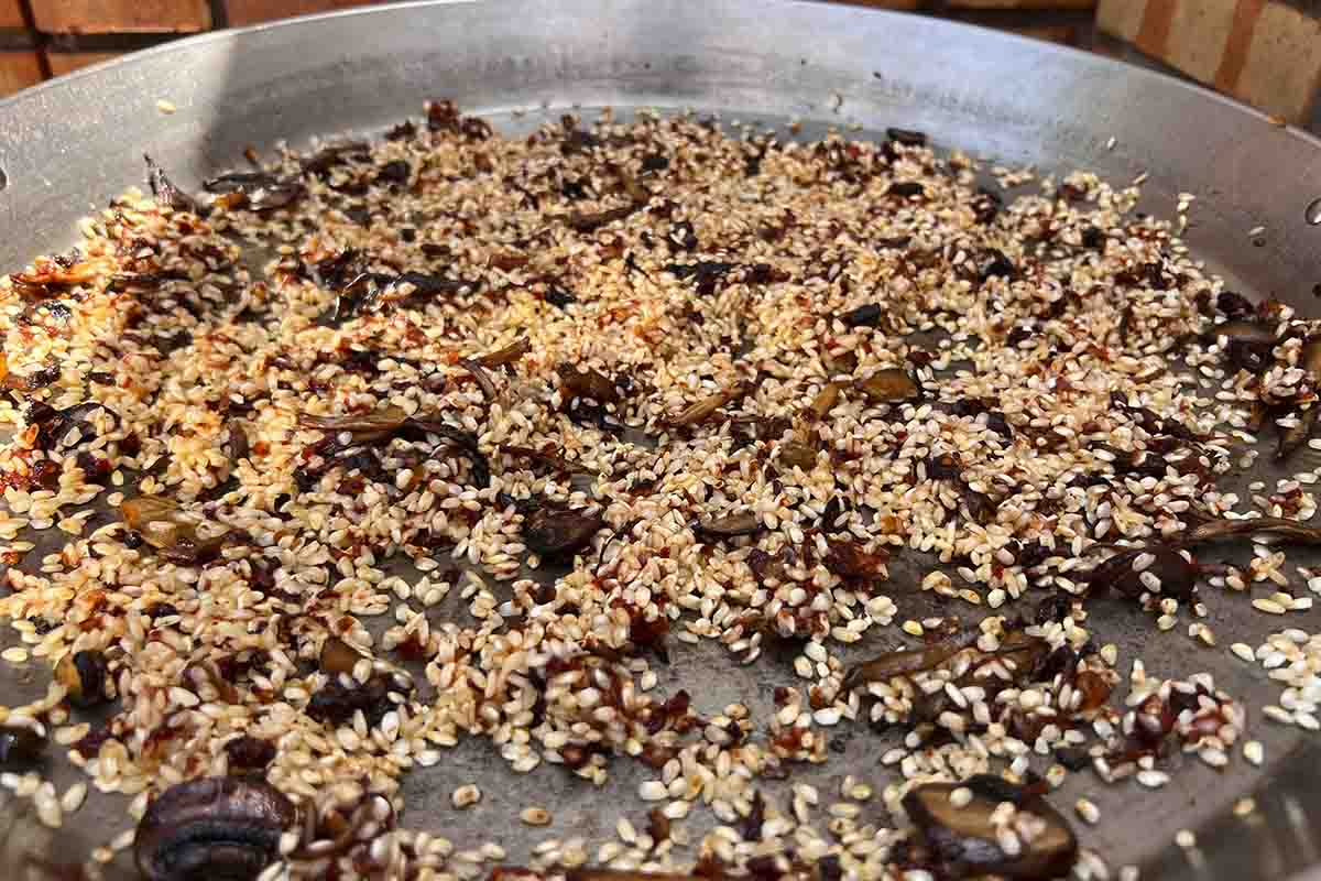 paso a paso arroz con carrilleras cerdo nacarar arroz