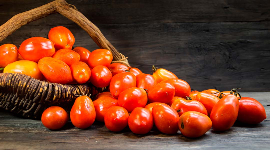 Preguntas-frecuentes-tomate