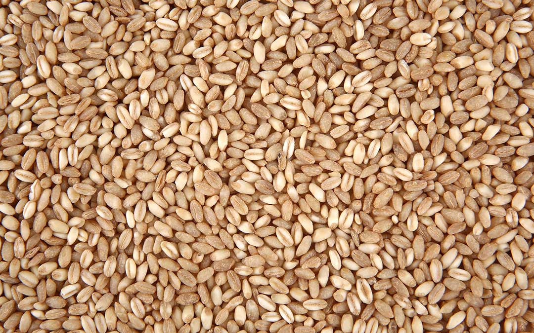 El almidón en el arroz integral