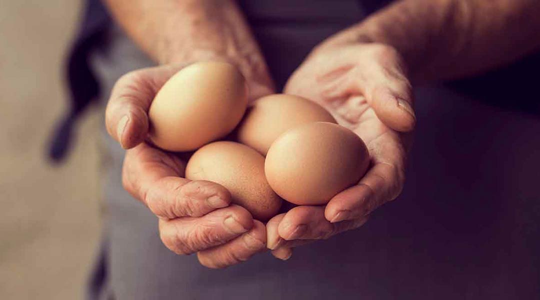Beneficios nutricionales de comer huevos