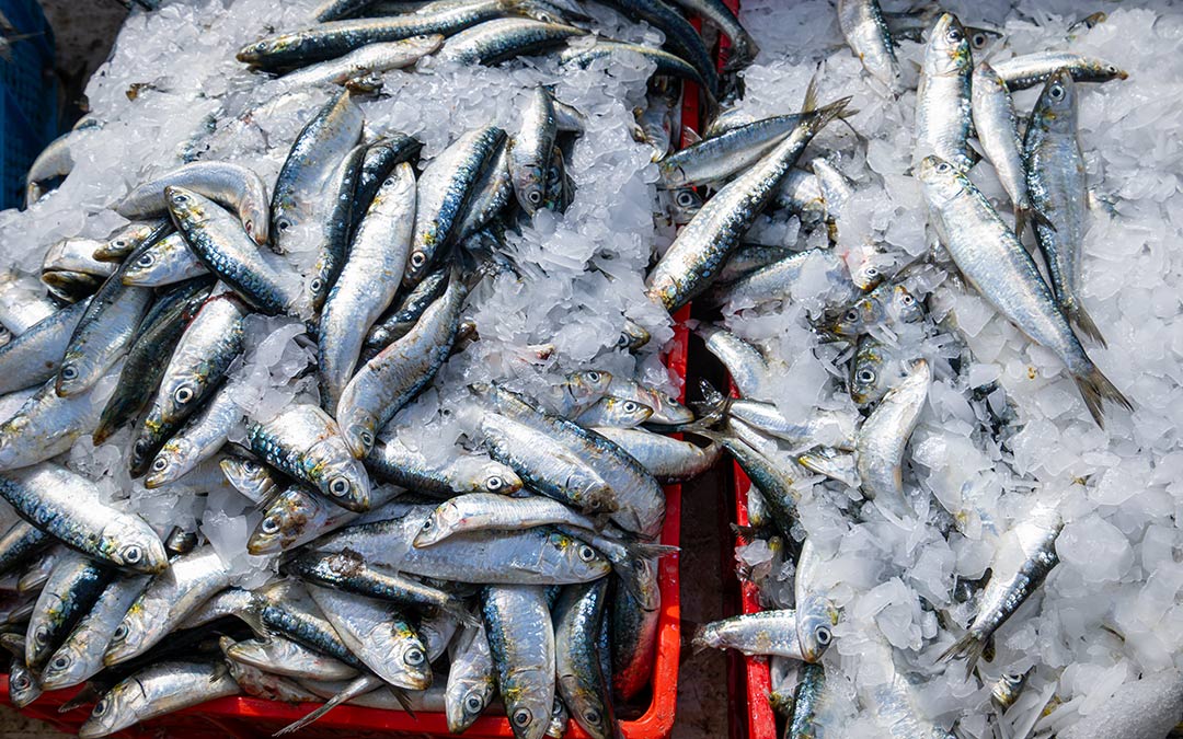 Ácidos grasos omega-3 y salud cardiovascular