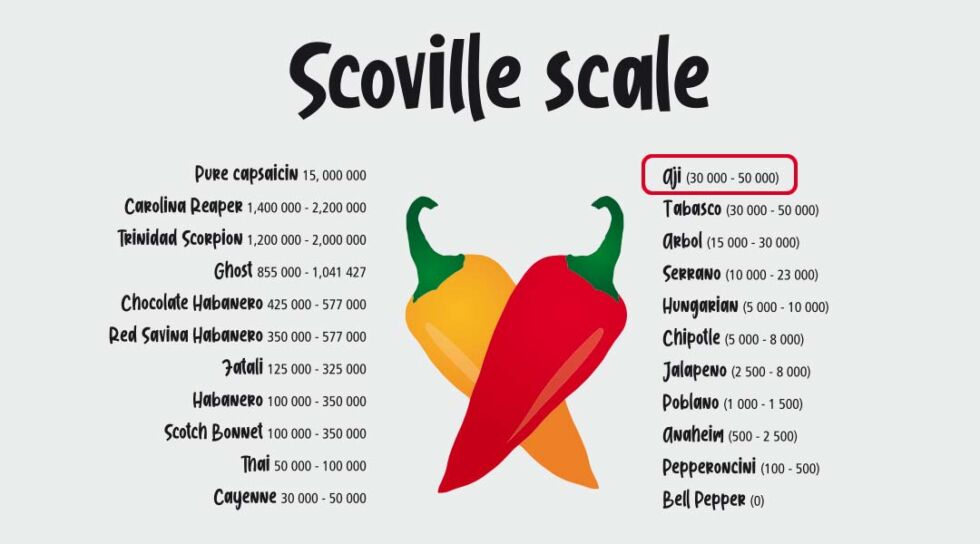 Qué es el Ají: Fruto Picante y Condimento Único | La Fallera