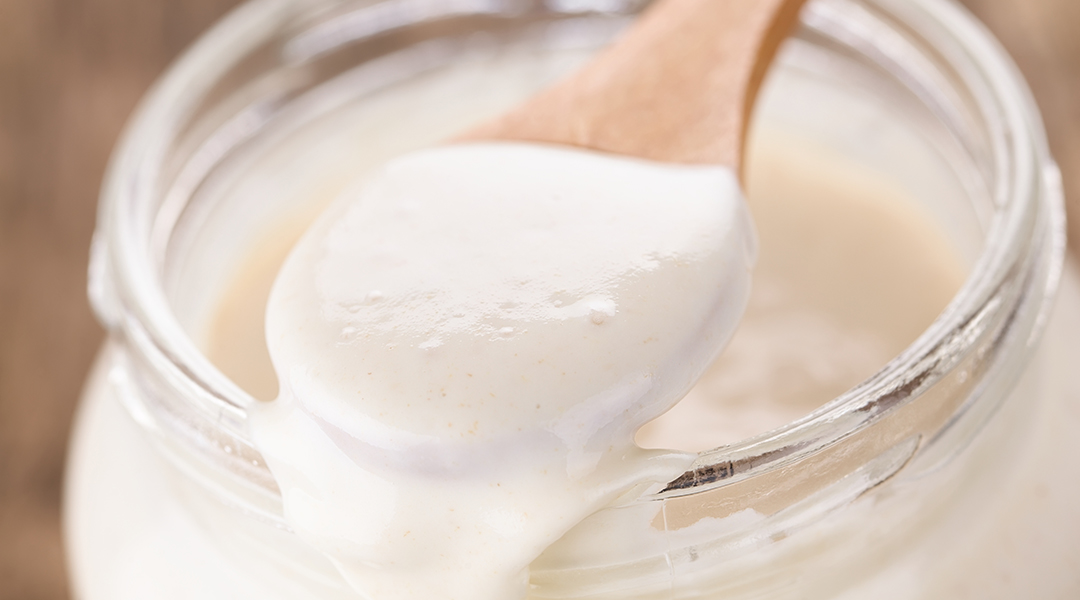 Tipos de alimentos fermentados