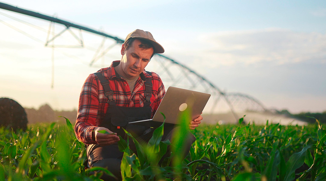 Innovaciones tecnológicas en la producción de alimentos