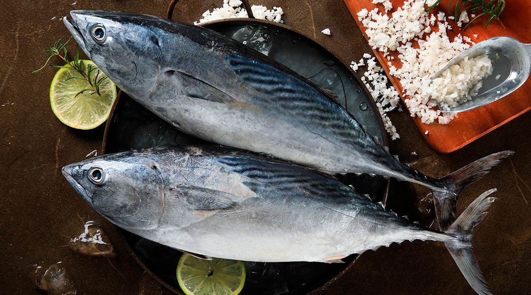 Qué es el pescado azul y sus beneficios