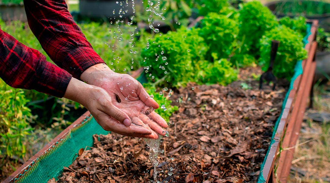El sistema alimentario sostenible