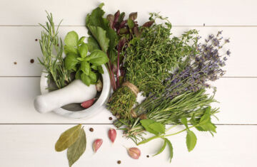 Descubre las 20 hierbas aromáticas más usadas en la cocina y revoluciona tus platos