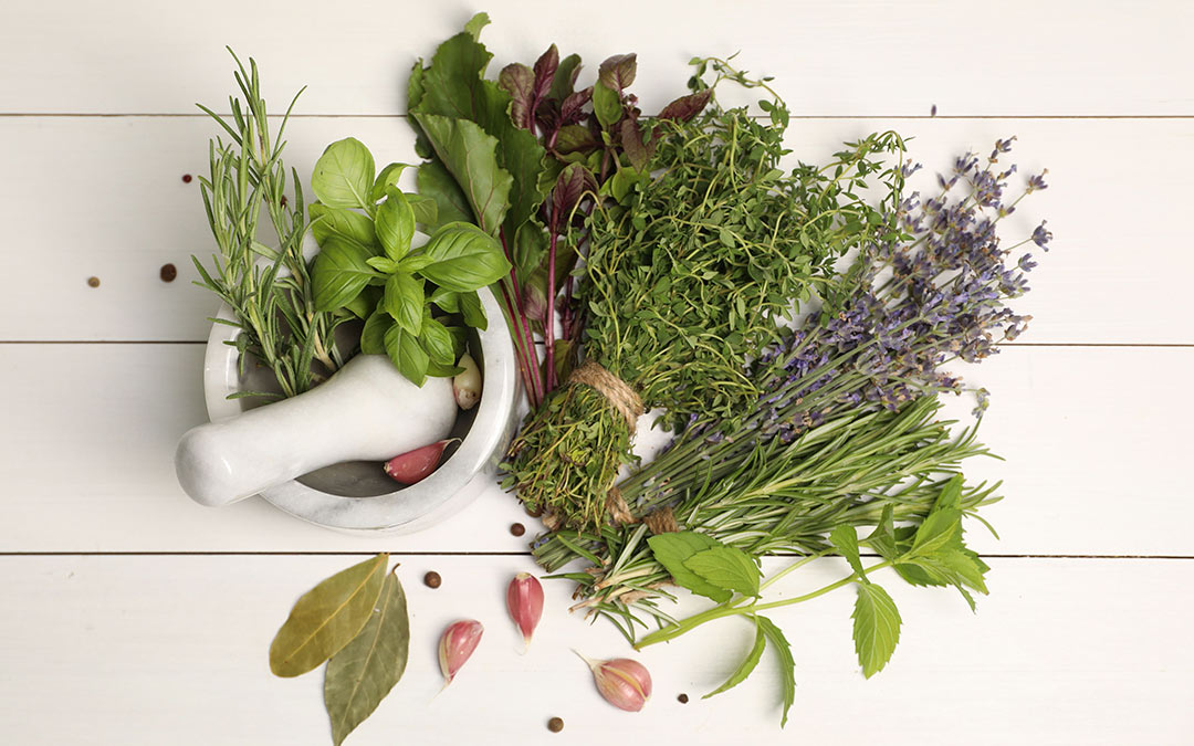 Descubre las 20 hierbas aromáticas más usadas en la cocina y revoluciona tus platos