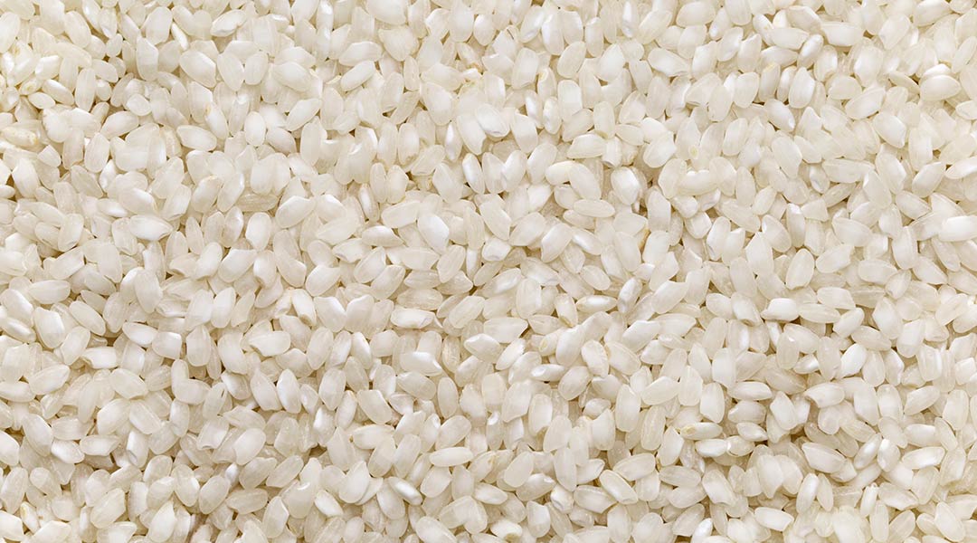 Diferencias clave entre arroz redondo y arroz bomba