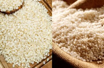 Arroz redondo o bomba: ¿cuál es la mejor opción?