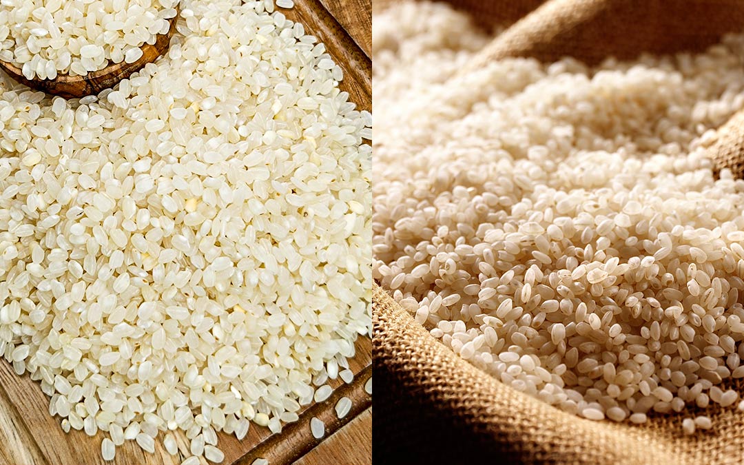 Arroz redondo o bomba: ¿cuál es la mejor opción?