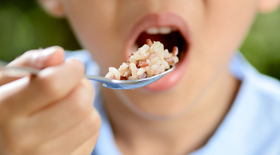 ¿Qué son la quinoa y el arroz integral?