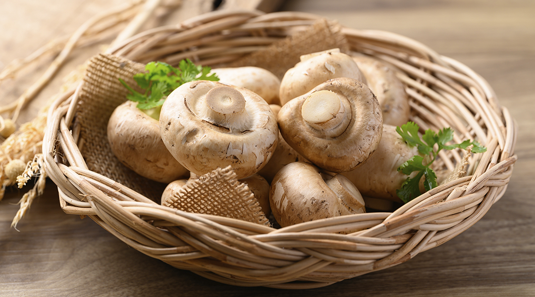 Valor nutricional de los champiñones