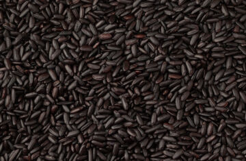 Propiedades del arroz negro: descubre sus beneficios exclusivos para tu salud
