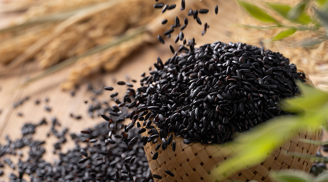 ¿Qué es el arroz negro y por qué es especial?