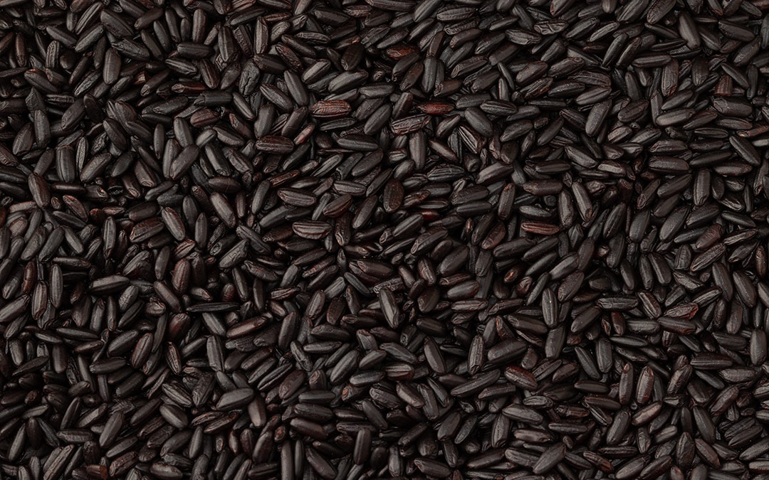 Propiedades del arroz negro: descubre sus beneficios exclusivos para tu salud