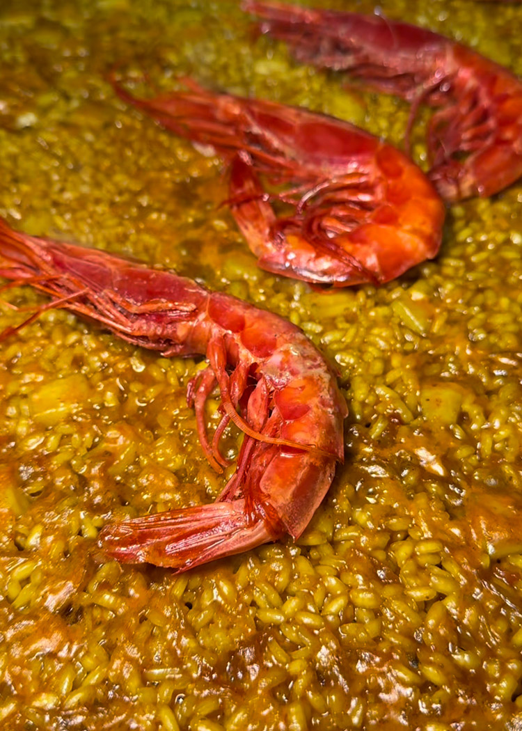 colocar carabineros para paella de carabineros 