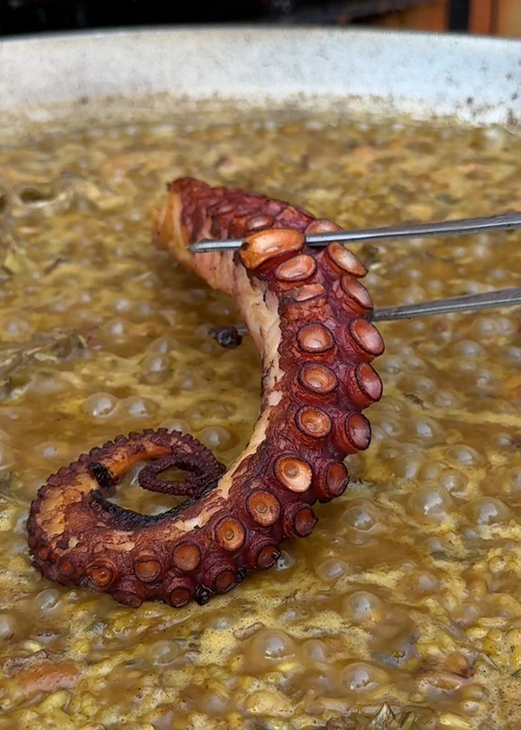 añadir tentáculo para arroz con pulpo y alcachofas